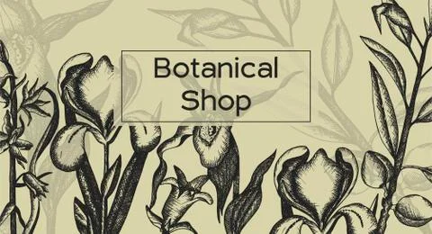 Summer botanical design. Hand drawn flowers Stock Illustration