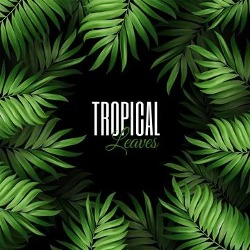 Summer botanical exotic pattern with green palm tropical leaves. vector design Stock Illustration