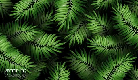 Summer botanical exotic pattern with green palm tropical leaves on dark. Design Stock Illustration