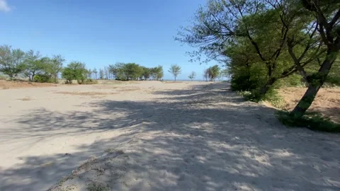 Summer breeze at the beach Stock Footage 144098552