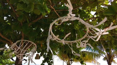 Summer Breeze Stock Footage 90956632