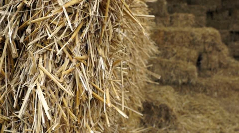 Summer breeze through Haystack in barn closeup Stock Footage 36955259