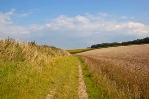 Summer bridleway Stock Photos
