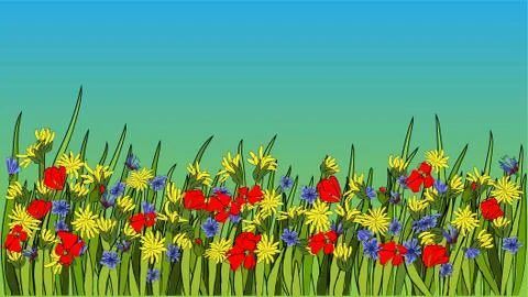 Summer bright background with dandelion and poppies Stock Illustration