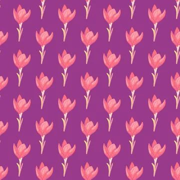 Summer bright seamless pattern with decorative pink crocus flower shapes on p Stock Illustration