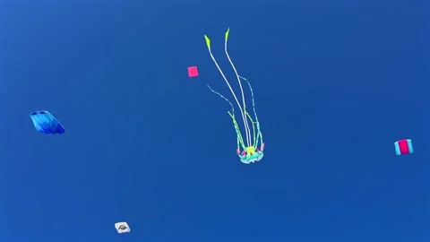 Summer. Brightly colored kites dance in the wind against a vibrant blue sky 動画素材 339644674