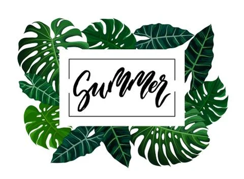 Summer brush lettering. Stock Illustration