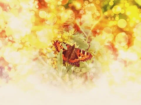 Summer butterfly Stock Illustration