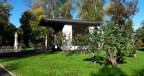 Summer cafe Stock Footage 97995002