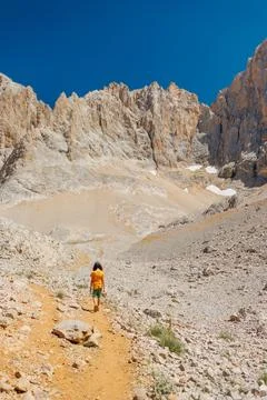 Summer camp. boy with a backpack. a boy with a backpack walks along a path ag Stock Photos