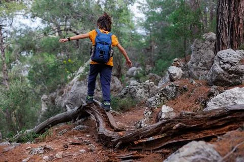 Summer camp.  happy boy with a backpack explores the summer forest. trekking  Stock Photos