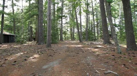 Summer camp_01 Stock Footage 955863