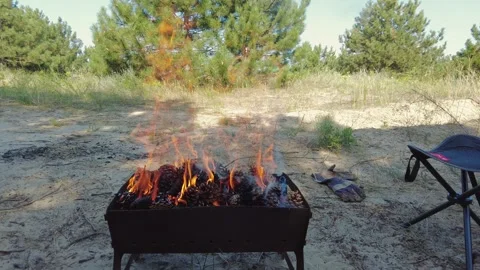Summer Camping: Pine Cones Burning in the Grill for Charcoal Stock Footage 283637205