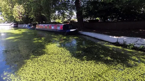 Summer Canal with Barges Stock Footage 94858558