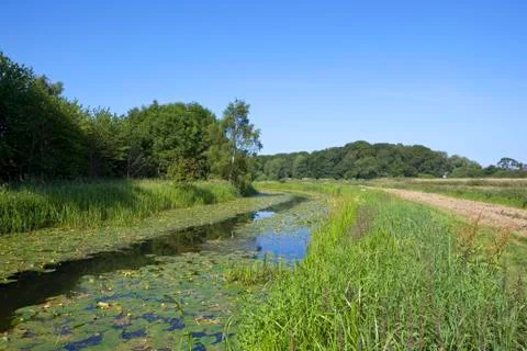 Summer canal Stock Photos
