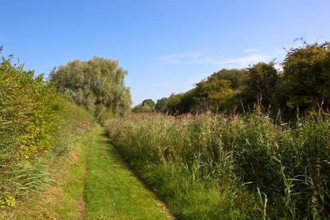 Summer canal towpath Stock Photos
