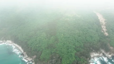 Summer Cape on the Gamow Peninsula. Stock Footage 155029696