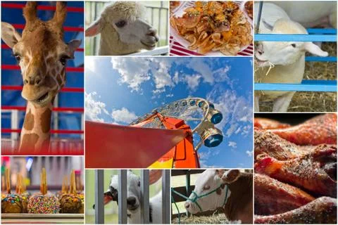 Summer Carnival Collage Stock-Fotos