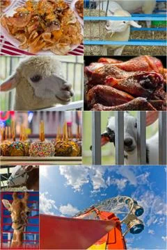 Summer Carnival Collage Stock Photos