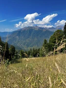 Summer in the Caucasus Stock Photos