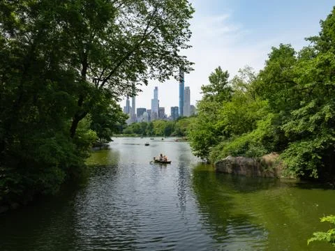 Summer @ Central Park. Stock Photos