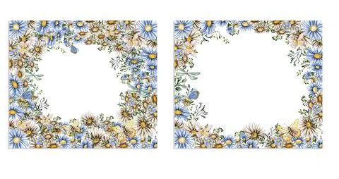 Summer chamomil flowers square wreath set . Watercolor illustration for scr.. Illustrazione stock