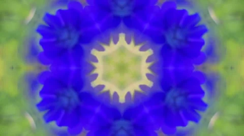 Summer circle mosaic macro texture with floral motif 動画素材 58254957