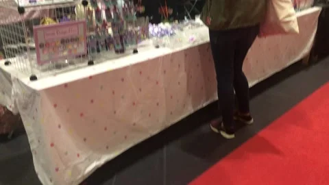 SUMMER IN THE CITY Video stock 135666641