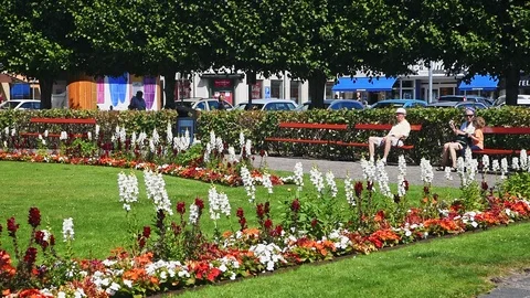 Summer in city park Stock Footage 97223283