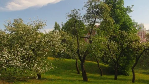 Summer City Park Stock Footage 108187612