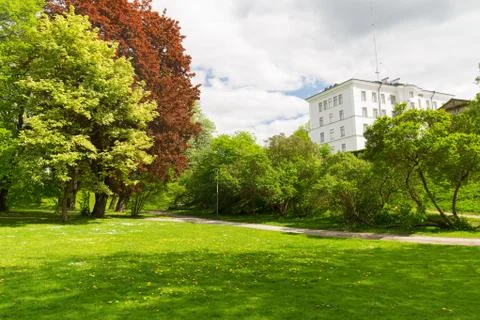 Summer city park with trees and green lawn Fotos de archivo