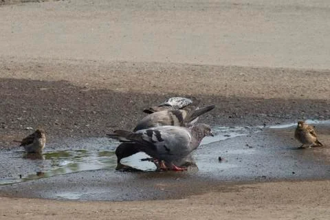 Summer in the city Stock Photos