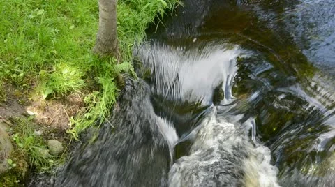 Summer clean river stream  and coast grass Stock Footage 12313269