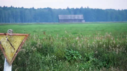 Summer. close-up. on the background of a road sign Stock Footage 195096649