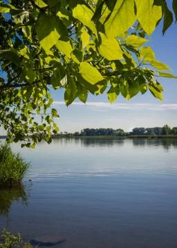 Summer Cloud Scape Stock Photos