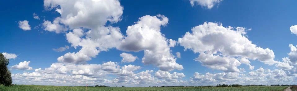 Summer clouds. Stock Photos
