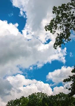 Summer Cloudscape Tree Framed Stock Photos