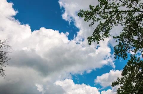 Summer Cloudscape Tree Framed Stock Photos
