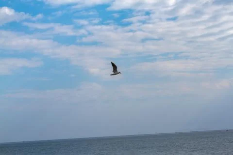 Summer cloudy sky over the sea Stock Photos