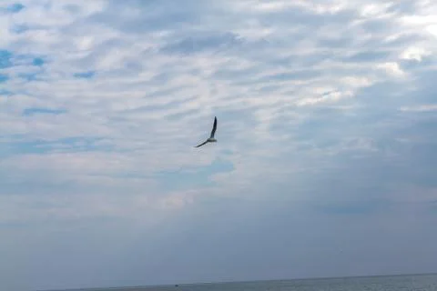 Summer cloudy sky over the sea Stock Photos