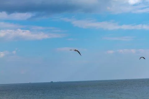 Summer cloudy sky over the sea Stock Photos