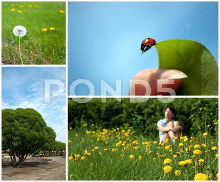 Summer collage Stock Photos