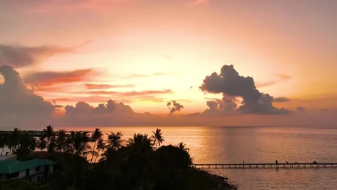 Summer with colorful theme as palm trees on the beach background Video stock 240196092