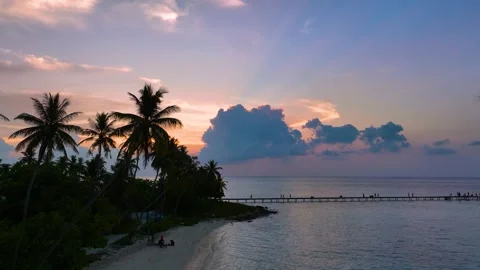 Summer with colorful theme as palm trees on the beach background	 Stock Footage 241079455