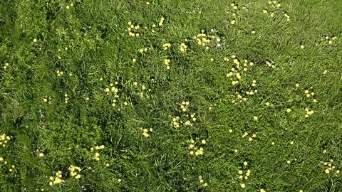 Summer is coming. Stock Footage 128733770