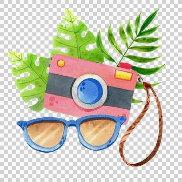 Summer composition with a camera, glasses and tropical leaves. Hand-drawn  Illustration