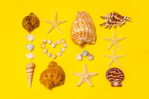 Summer composition. Different seashells and starfish lying on yellow paper ba Stock Photos