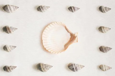 Summer composition with different seashells on beige beach sand background. D 스톡 사진