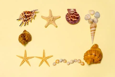 Summer composition. Frame made of different sea shells and sea stars lying on Stock Photos