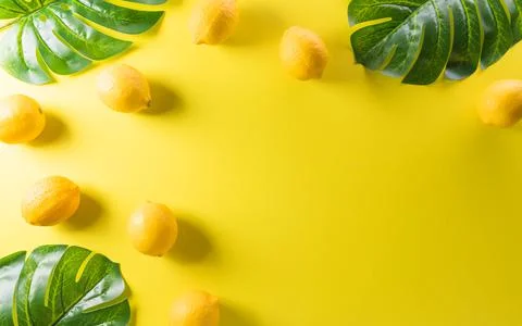 Summer composition made from lemon or lime, and monstera leaf on pastel yello Stock Photos